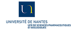 nante